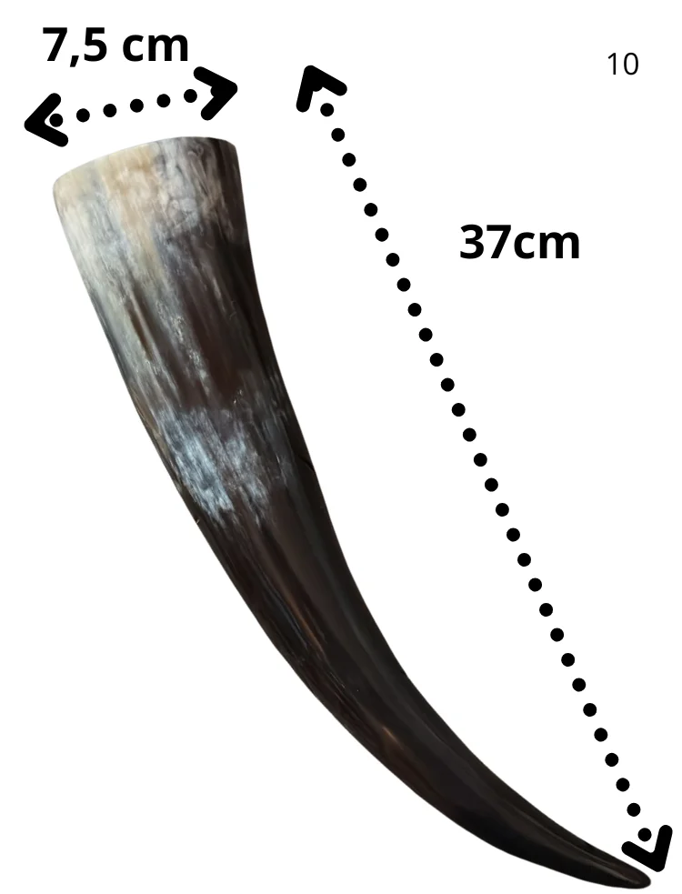 Vaso de Hecho de Cuerno de Res 450ml 37cm (10)