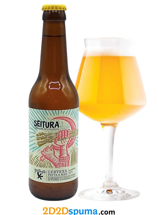 Pintega Seitura